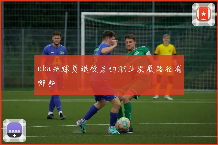 nba老球员退役后的职业发展路径有哪些
